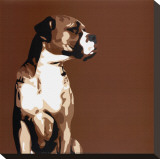 Boxer Stretched Canvas Print by Emily Burrowes