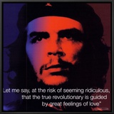Che Guevara: Revolutionary Framed Canvas Print