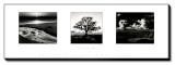 Trilogy Stretched Canvas Print by Ansel Adams