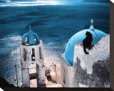 Chat en Grece Stretched Canvas Print by Hans Silvester