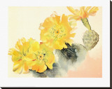 Yellow Cactus Stretched Canvas Print by Georgia O'Keeffe