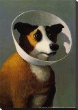 Filmhound Stretched Canvas Print by Michael Sowa