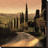 Country Lane, Tuscany Stretched Canvas Print by Elizabeth Carmel