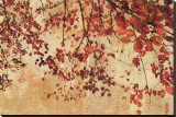 Colorful Season I Stretched Canvas Print by Pela & Silverman 