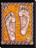 Reflexology Stretched Canvas Print by Robert Rosenthal