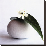 Fleur sur galet Reproduction transférée sur toile