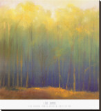 Deep Woods in Summer Stretched Canvas Print by Teri Jonas