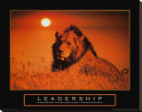 Leadership: Lion Stretched Canvas Print