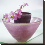 Orquídeas Reproducción en lienzo de la lámina por H. Orth
