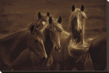 Bad Girls Stretched Canvas Print by Tony Stromberg