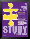 Study Your Way Pósters
