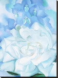 White Rose W/ Lakspur No.2 Stretched Canvas Print by Georgia O'Keeffe
