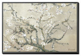 Almond Branches in Bloom, San Remy, c.1890 (tan) Framed Canvas Print