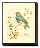 Gilded Songbird IV Framed Canvas Print by Chad Barrett