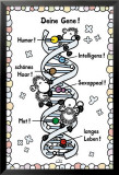 Sheepworld - Gene Fotografía