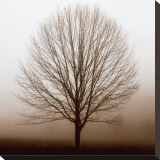 Stillness Stretched Canvas Print by Erin Clark