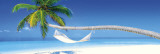 Beach - hammock morning Poster