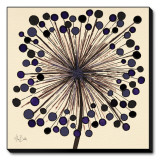 Lilac Bubble Flower Stretched Canvas Print by Alan Buckle