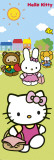 Hello Kitty - picnic Poster
