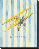 Airplane Stretched Canvas Print by Catherine Richards
