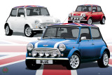 MINIS Poster