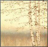 Birch Silhouette II Framed Canvas Print by James Wiens