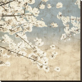 Cherry Blossoms II Stretched Canvas Print by John Seba