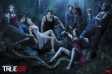 TRUE BLOOD - Season 3 Poster