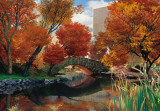 Central Park Seasons - 3D Poster Posters