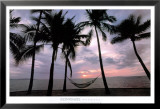 Coconut Palms Lámina por Larry Ulrich
