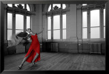 The Red Dress Photographie