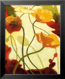 Tres Vignes III Arte por Shirley Novak Tres Vignes III Arte por Shirley Novak