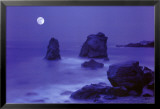 Garapatta Cove Posters af William Hartshorn