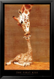 The First Kiss Posters