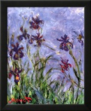 Iris Posters par Claude Monet