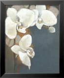 Orchid Whites Láminas por Adelene Fletcher Orchid Whites Láminas por Adelene Fletcher