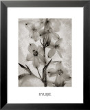 Glass Petals Posters by Ryuijie 