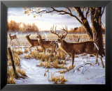 Cautious Crossing Arte por Wilhelm J. Goebel Cautious Crossing Arte por Wilhelm J. Goebel