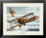 French Spad, 1916 Prints by Alfred Owles