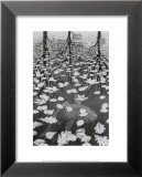Trois Mondes Posters par M. C. Escher