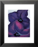 Purple Petunias, 1925 Posters by Georgia O'Keeffe
