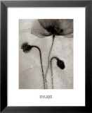 Dancing in Bubbles Posters by Ryuijie 