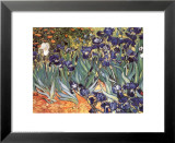 Iris, Saint-Rémy, vers 1889 Posters par Vincent van Gogh