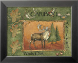 Caribou Poster by Anita Phillips