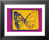 Vanishing Animals: Butterfly, c.1986 (Yellow on Purple) Poster von Andy Warhol