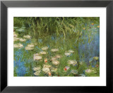 Water Lilies of the Orangerie as Giverny Arte por Claude Monet Water Lilies of the Orangerie as Giverny Arte por Claude Monet