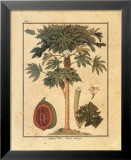 Papayo Arte por Rebecca Papayo Arte por Rebecca