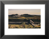 Colinas, South Truro, 1930 Pósters por Edward Hopper