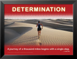 Determinación Pósters Determinación Pósters