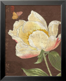 Garden Peony II Pósters por Katie Pertiet Garden Peony II Pósters por Katie Pertiet